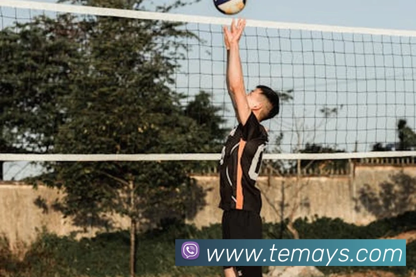 乐竞首页发展历程